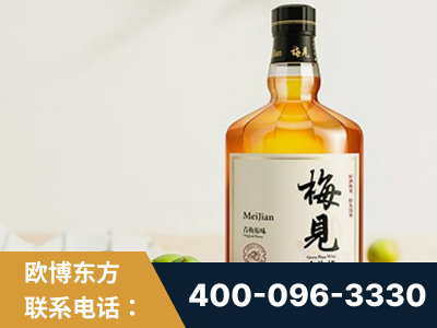 盘州-梅见青梅酒